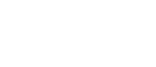 our amazing partners - Iconic London